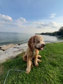 8 Reasons to Get Outside