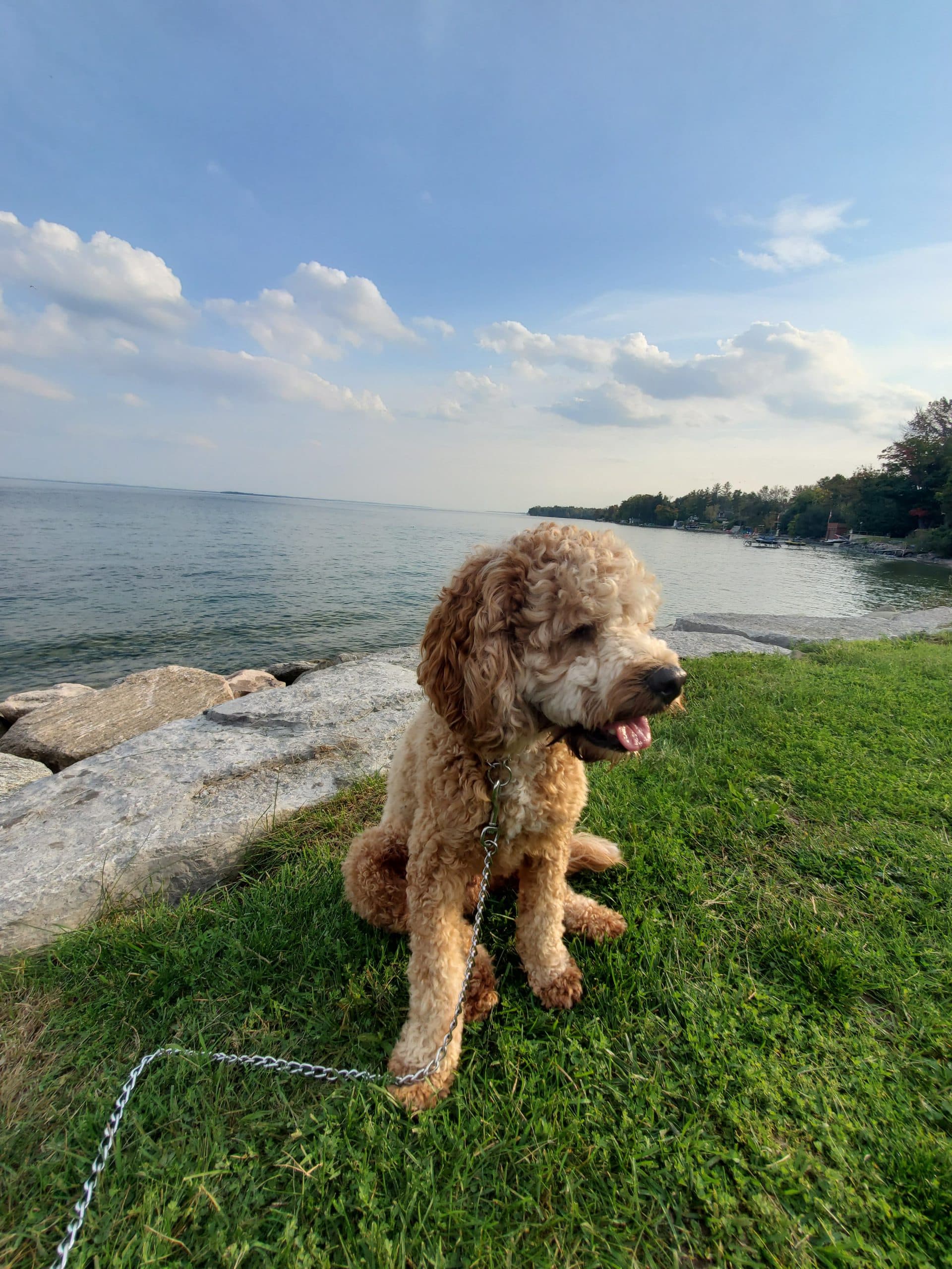 8 Reasons to Get Outside