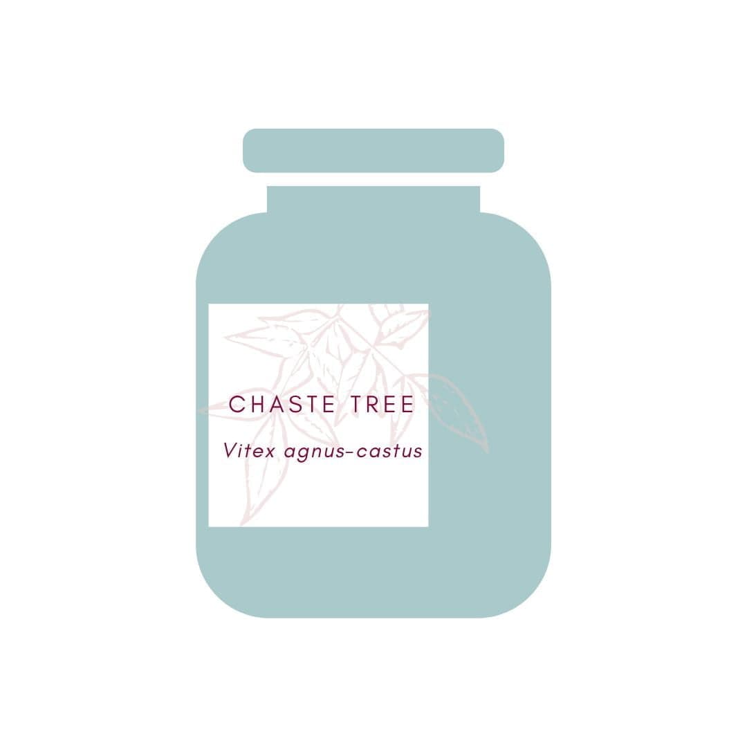 Chaste Tree for PMS