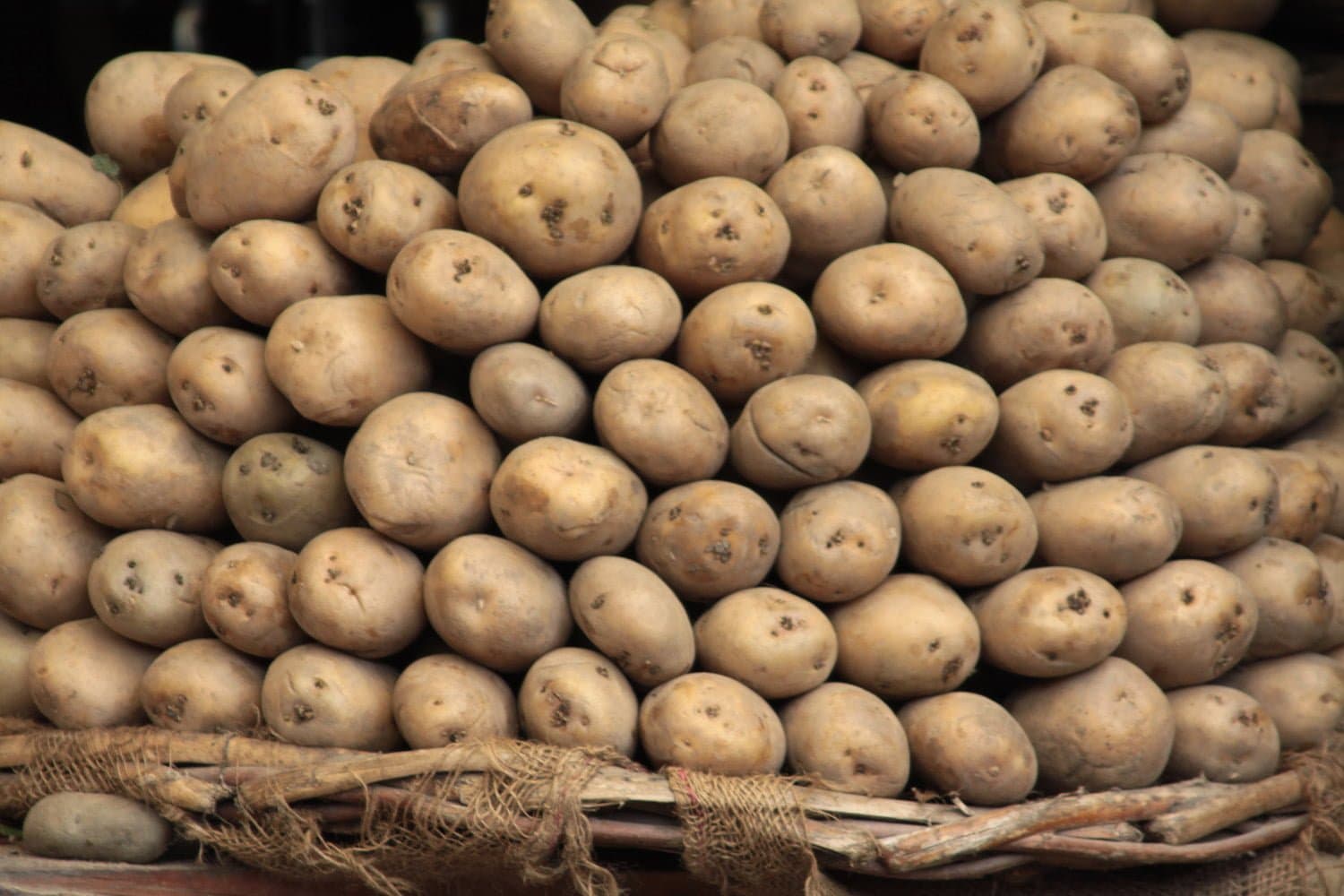 Gluten-free Potato Cutlets
