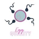 Natural Ways to Improve Egg Quality