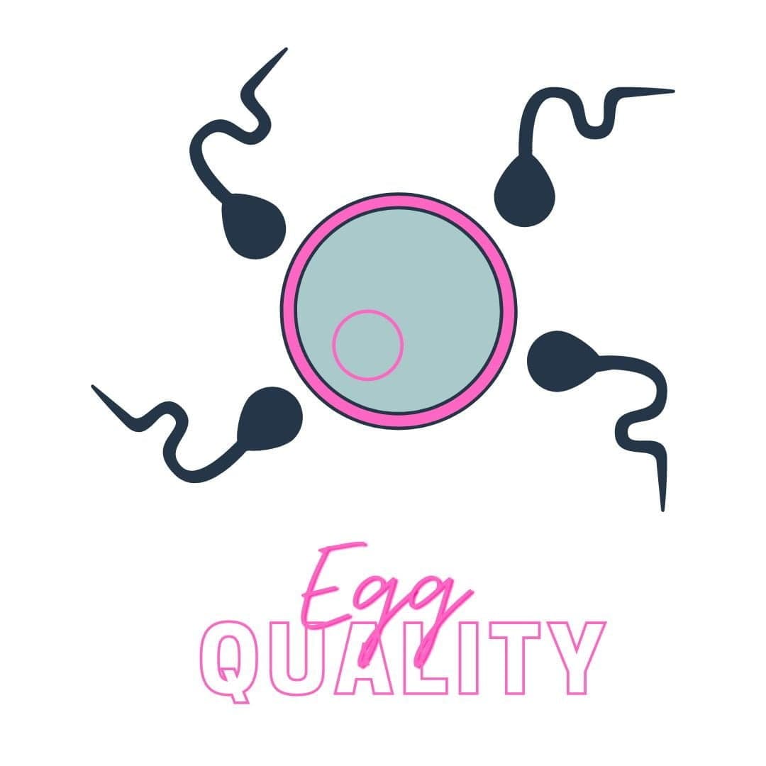 Natural Ways to Improve Egg Quality