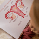 Reproductive Anatomy 101: The Vagina