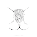 Reproductive Anatomy 101: The Vulva