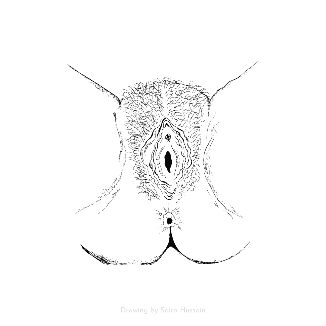 Reproductive Anatomy 101: The Vulva