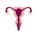 What *actually* happens during my period?