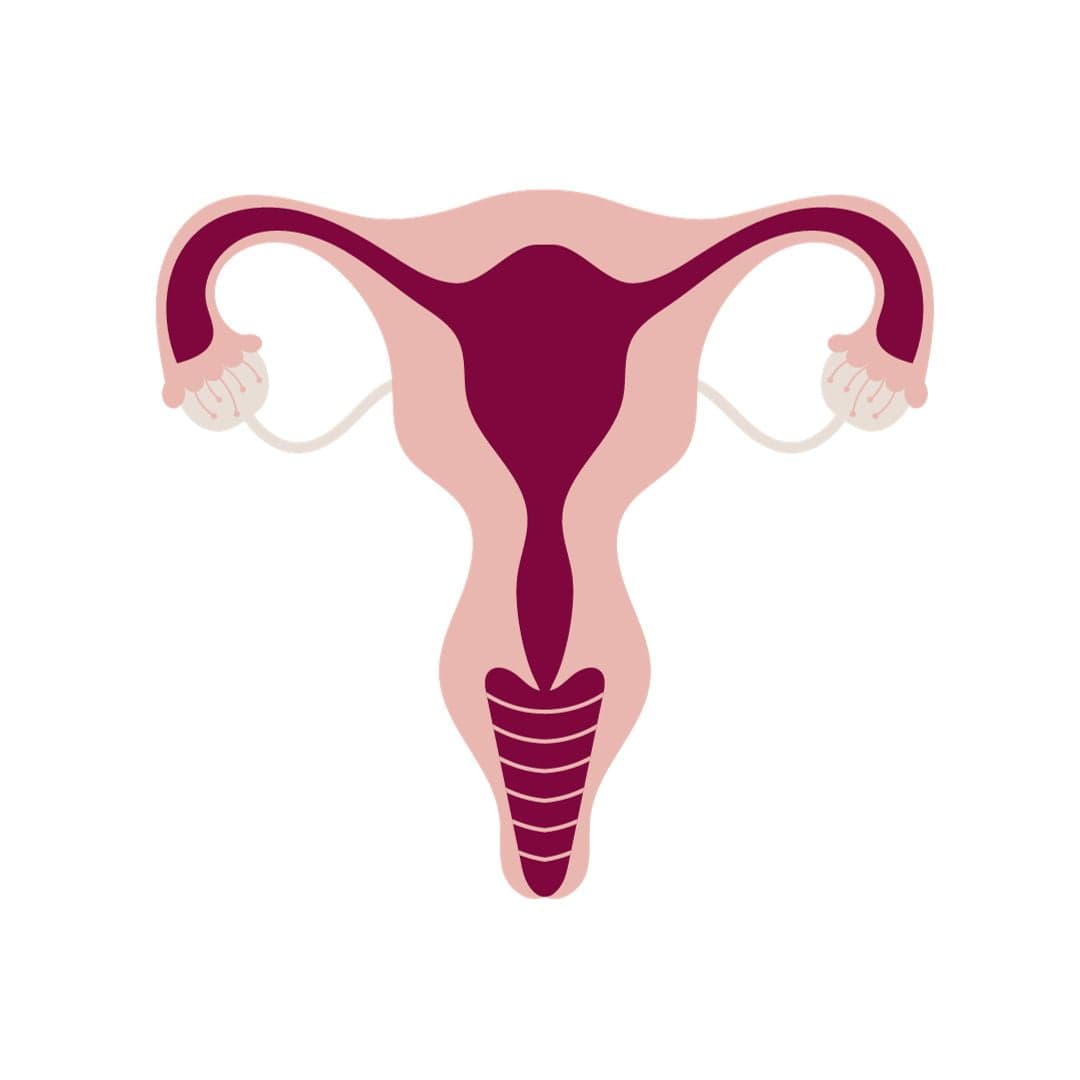 What *actually* happens during my period?