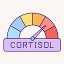 The Truth About Cortisol: Why You Don’t Need to "Detox" Your Stress Hormone