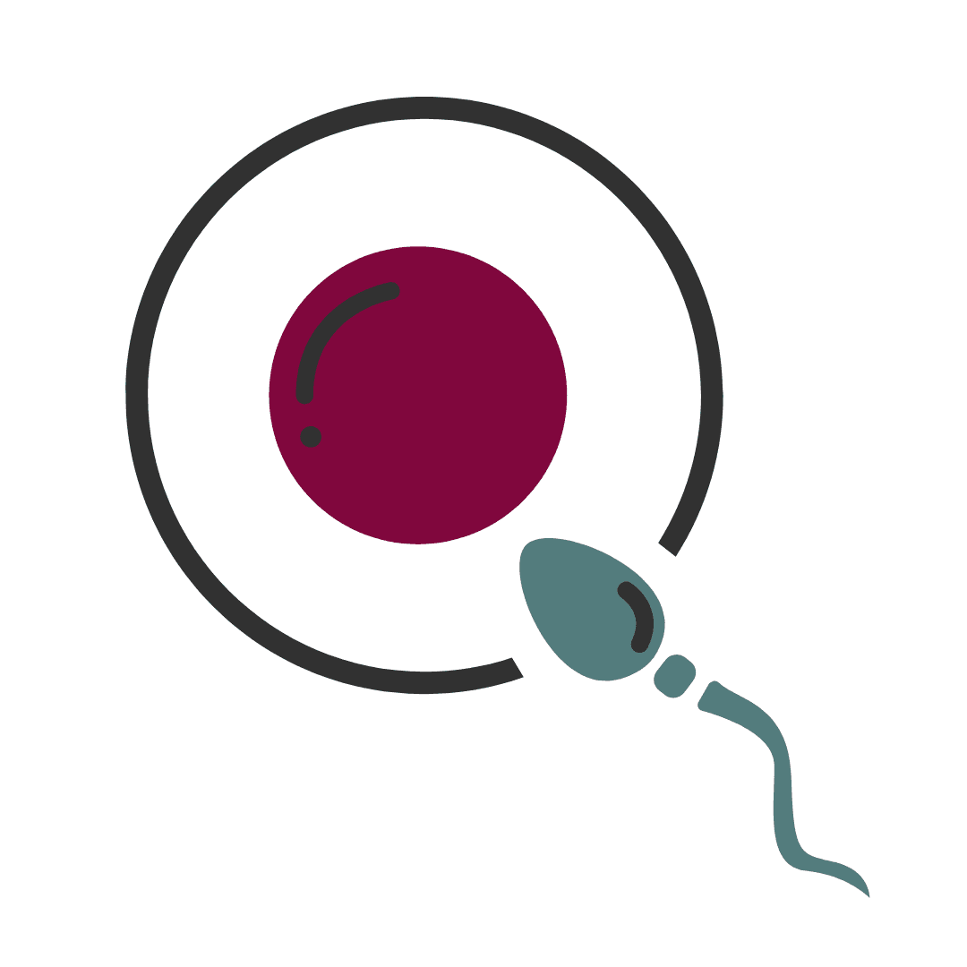 Fertility Considerations for those with PCOS