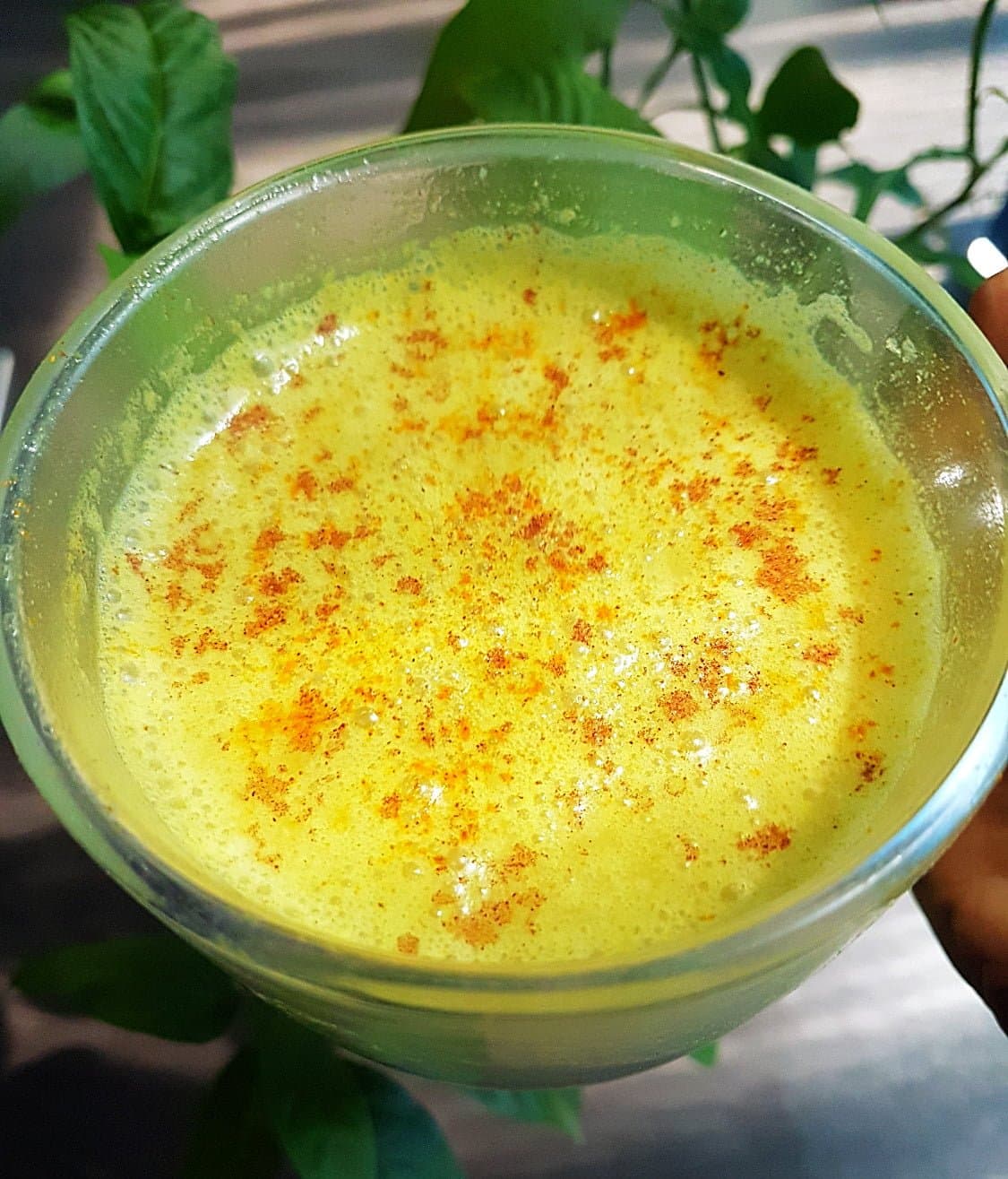 Turmeric Steamer with Cinnamon & Moringa