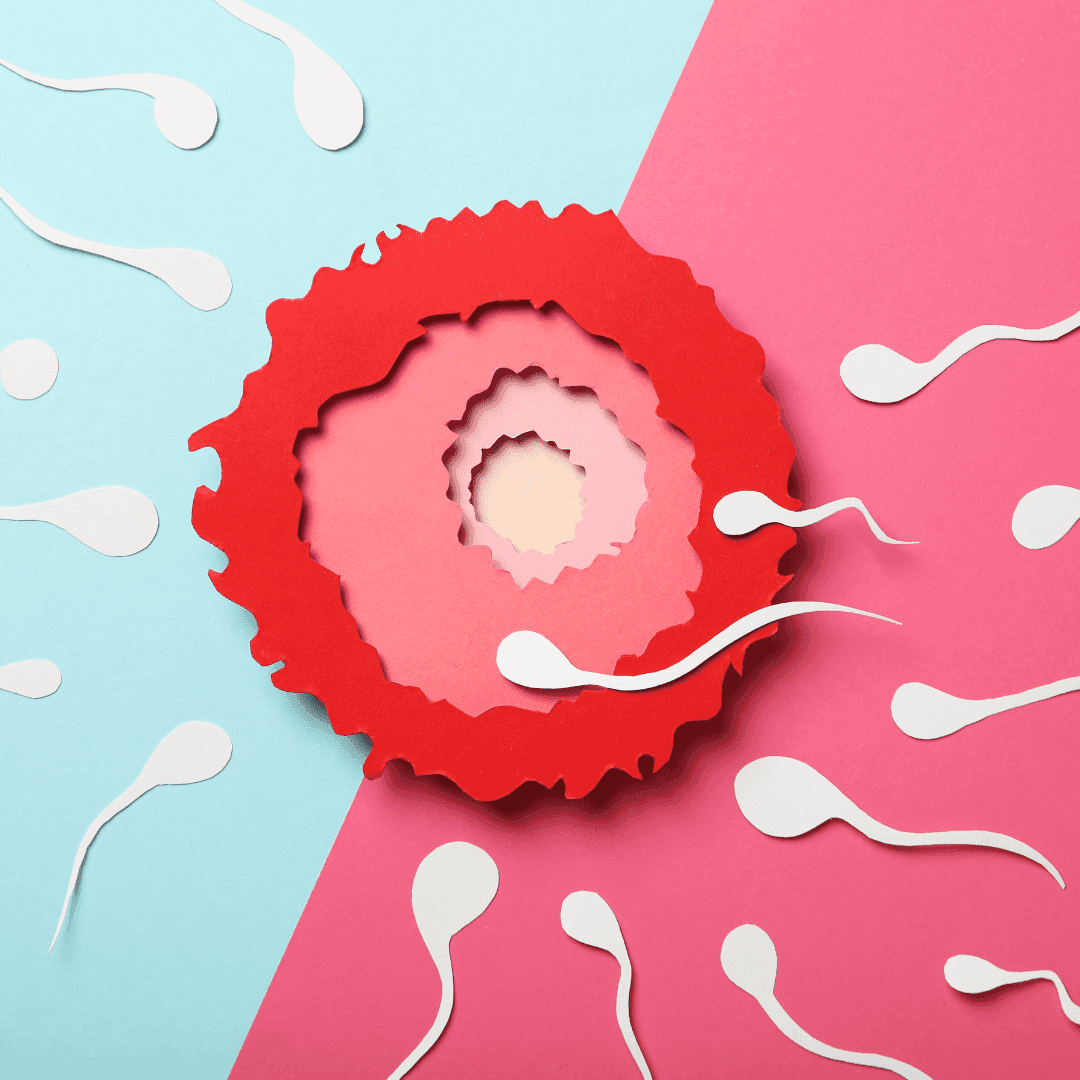 Featured image for Using Fertility-Awareness Based Methods for Contraception or Contraception