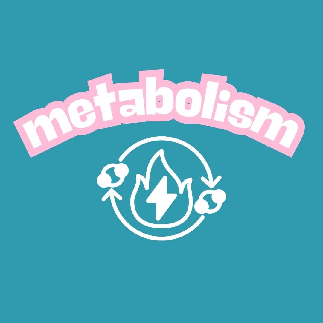Featured image for Metabolism: What is it? What does it mean? Is your metabolism "broken"?